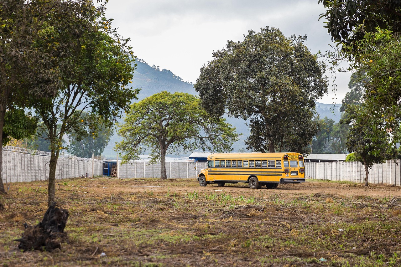 bus, mode de vie, école, véhicule, voyage, transport, trajet, transport